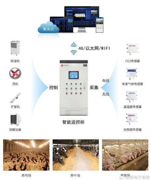 智慧畜牧養(yǎng)殖環(huán)境監(jiān)測(cè)系統(tǒng) 自動(dòng)化控制與智能化管理的技術(shù)融合