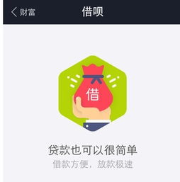 2017年個(gè)人小額網(wǎng)貸平臺(tái)盤點(diǎn) 精選靠譜口子與避坑指南